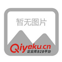 供應(yīng)德國(guó)GESTRA各類閥門、液位控制器(圖)